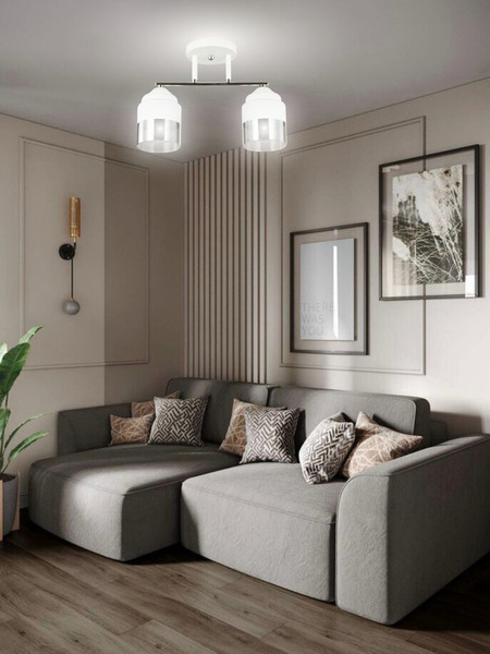 Изображение товара Потолочный светильник Aitin-Pro НПБ 02-2x60-101 / 6197/2 (белый/хром)