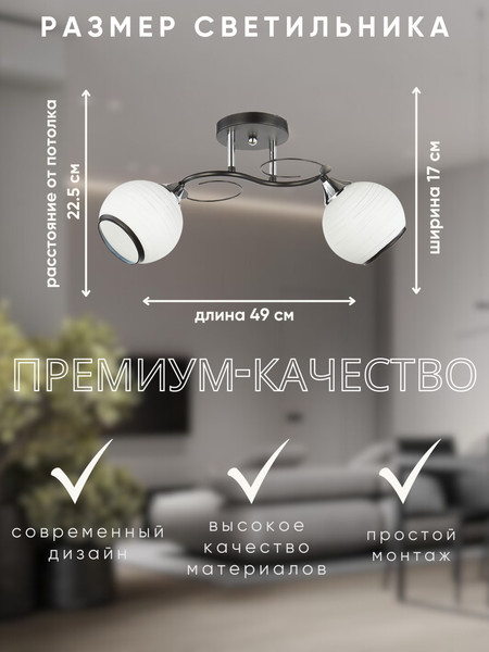 Изображение товара Потолочный светильник Aitin-Pro НПБ 02-2x60-101 / 6215/2 (черный/хром)