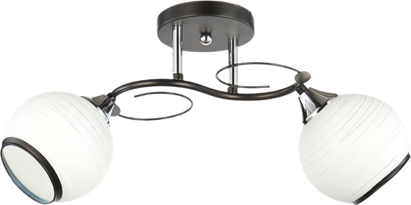 Изображение товара Потолочный светильник Aitin-Pro НПБ 02-2x60-101 / 6215/2 (черный/хром)