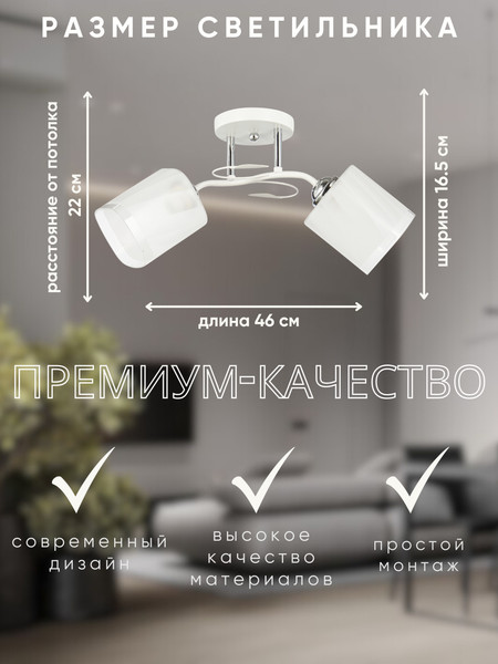 Изображение товара Потолочный светильник Aitin-Pro НПБ 02-2x60-101 / 6222/2 (белый/хром)