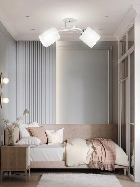 Изображение товара Потолочный светильник Aitin-Pro НПБ 02-2x60-101 / 6222/2 (белый/хром)