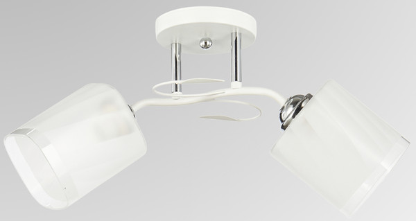 Изображение товара Потолочный светильник Aitin-Pro НПБ 02-2x60-101 / 6222/2 (белый/хром)