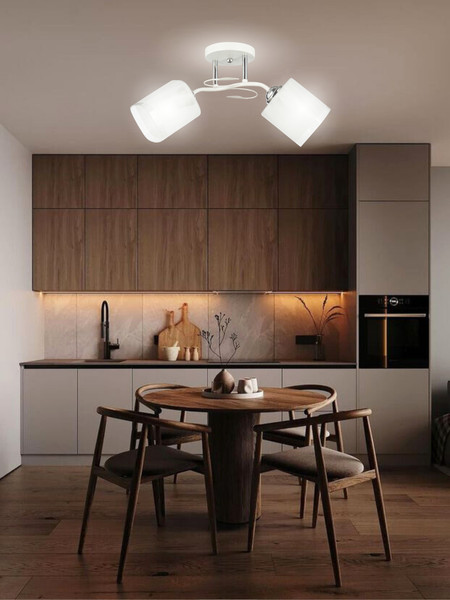 Изображение товара Потолочный светильник Aitin-Pro НПБ 02-2x60-101 / 6222/2 (белый/хром)