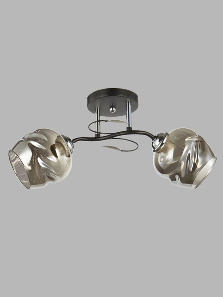 Изображение товара Потолочный светильник Aitin-Pro НПБ 02-2x60-101/ 6227/2 (черный/хром)