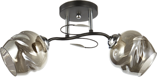 Изображение товара Потолочный светильник Aitin-Pro НПБ 02-2x60-101/ 6227/2 (черный/хром)