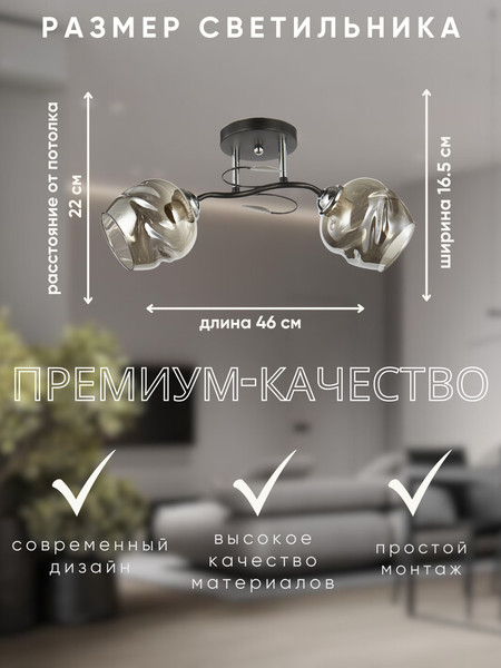 Изображение товара Потолочный светильник Aitin-Pro НПБ 02-2x60-101/ 6227/2 (черный/хром)