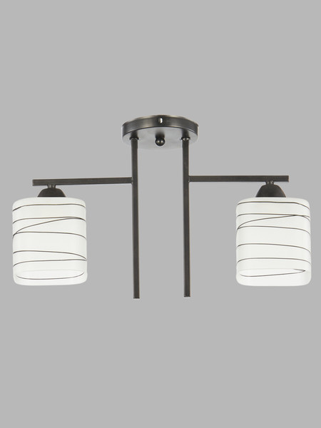 Изображение товара Потолочный светильник Aitin-Pro НПБ 02-2x60-101 / 6246/2 (черный)