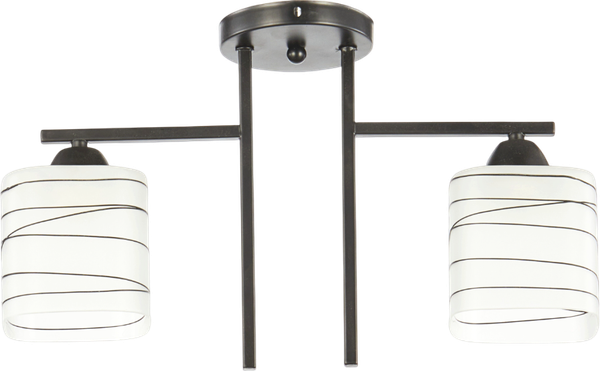 Изображение товара Потолочный светильник Aitin-Pro НПБ 02-2x60-101 / 6246/2 (черный)