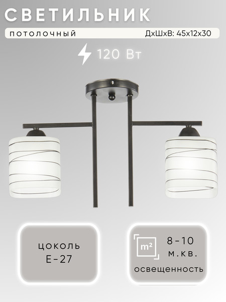 Изображение товара Потолочный светильник Aitin-Pro НПБ 02-2x60-101 / 6246/2 (черный)
