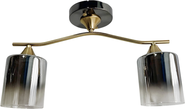 Изображение товара Потолочный светильник Aitin-Pro НПБ 02-2x60-102 / N6413/2 (медь/черный)