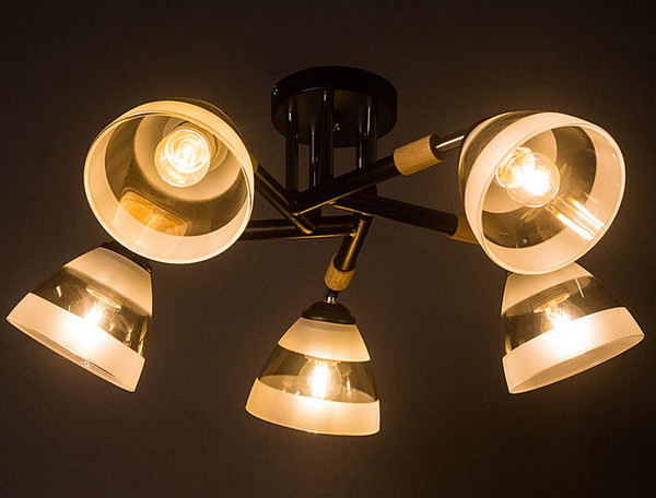 Изображение товара Люстра Aitin-Pro НПБ 02-5х60-101 / C1315/5 (черный)