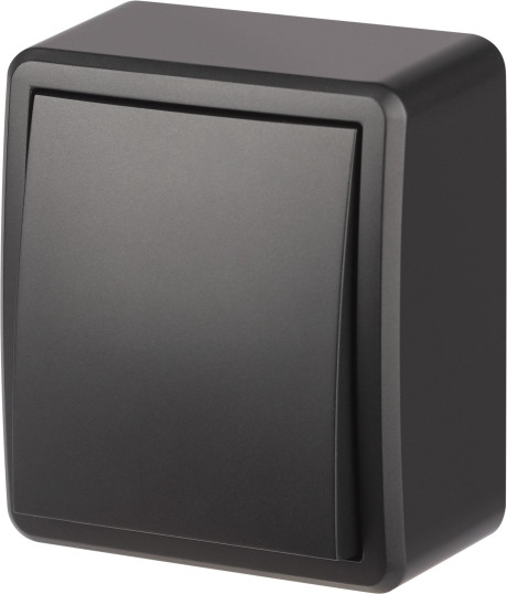 Изображение товара Выключатель ЭРА Эксперт 11-1203-05 / Б0063003 (антрацит)