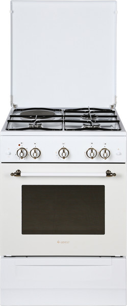 Изображение товара Плита комбинированная GEFEST ПГЭ 6110-01 0185