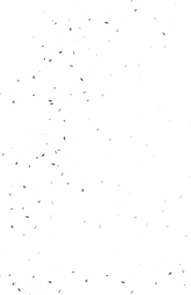 Изображение товара Книга АСТ Магазин шаговой недоступности. Все для вас, твердая обложка (Ким Хоен)