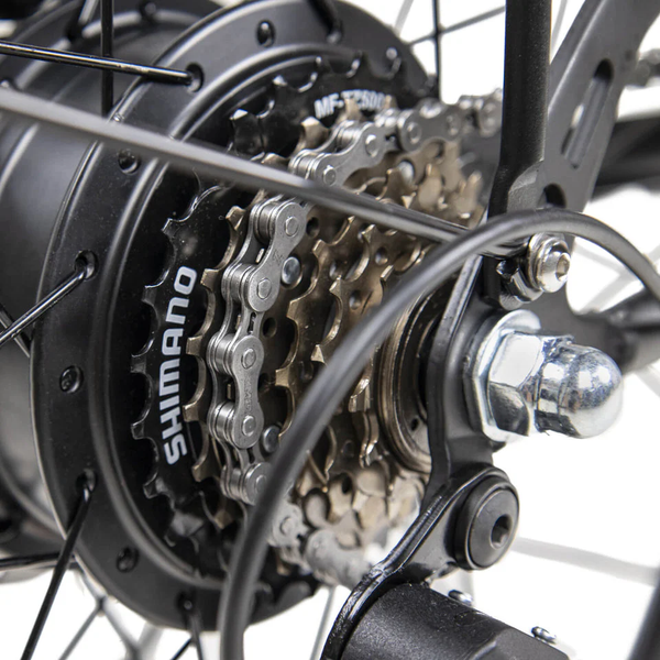 Изображение товара Электровелосипед Dyu C6 250W 26 дюймов (белый)