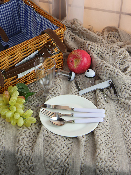 Изображение товара Подарочный набор No Brand ZQ-24401 для пикника