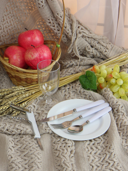 Изображение товара Подарочный набор No Brand ZQ-24433 для пикника