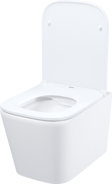 Изображение товара Унитаз подвесной IDDIS Bild BILRNSEi25