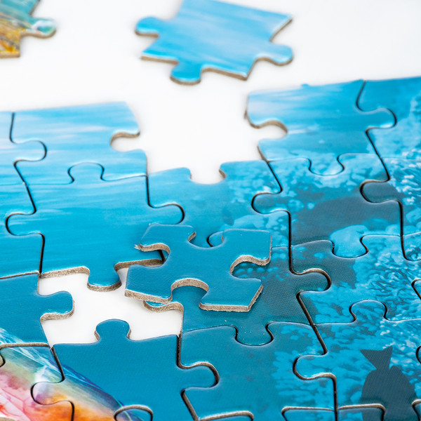 Изображение товара Пазл Dream Makers Океан / RI1601C