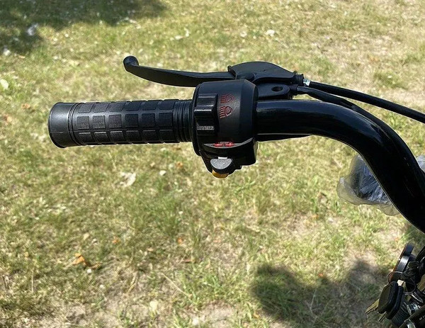 Изображение товара Мопед Roliz Alpha Турист (зеленый)