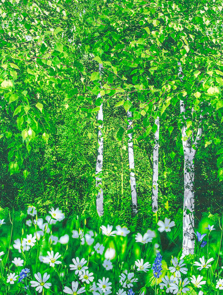 Изображение товара Комплект постельного белья АртПостель Белая березонька 900