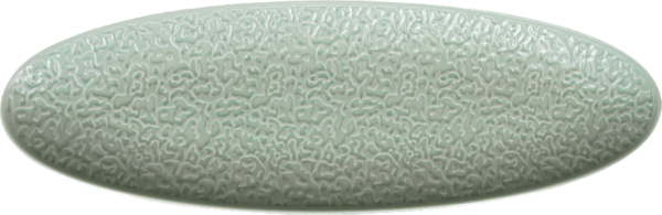 Изображение товара Блюдо Corone Nori LQ-QK15295-GRE / фк5630 (зеленый)