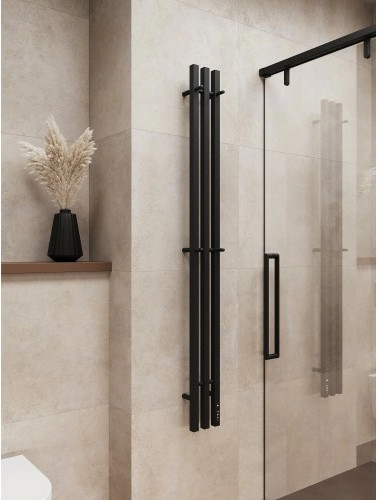 Изображение товара Полотенцесушитель электрический Terminus Стойка Tres Проф 1600 (черный)