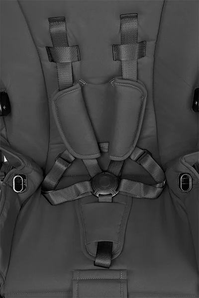 Изображение товара Детская универсальная коляска Farfello Camille Comfort 2 в 1 / CMC (черный)