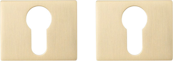 Изображение товара Накладка на цилиндр VELA Prima DPC-Q-X-MSB (матовое золото)