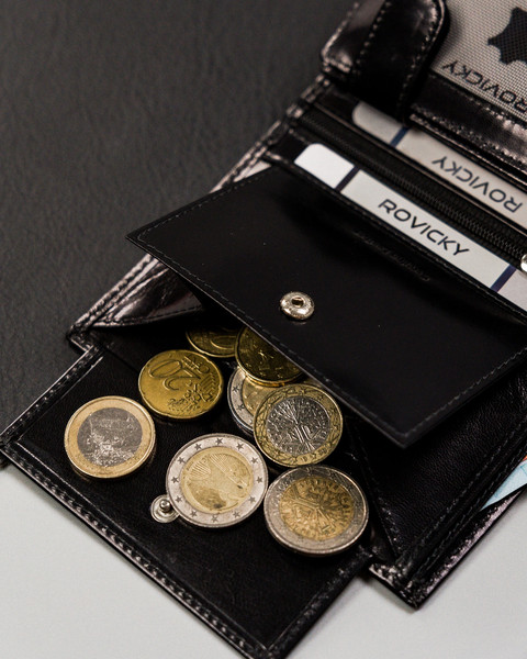 Изображение товара Портмоне Cedar Rovicky RV-8191-AAX-3708 (черный)