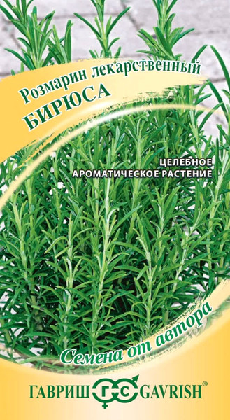 Изображение товара Семена Гавриш Розмарин Бирюса (0.05г)