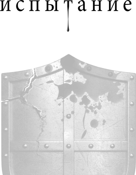 Изображение товара Книга Like Book Испытание (Вульф Трейси)