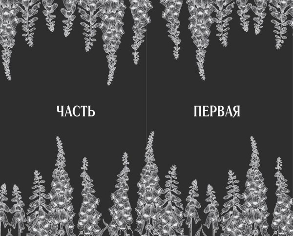 Изображение товара Книга FreeDom Наперстянка, твердая обложка (Грейс Аделин)