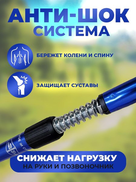 Изображение товара Палки для скандинавской ходьбы Classmark Z23060803 / 1935794 (синий)
