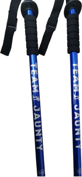 Изображение товара Палки для скандинавской ходьбы Classmark Z23060803 / 1935794 (синий)
