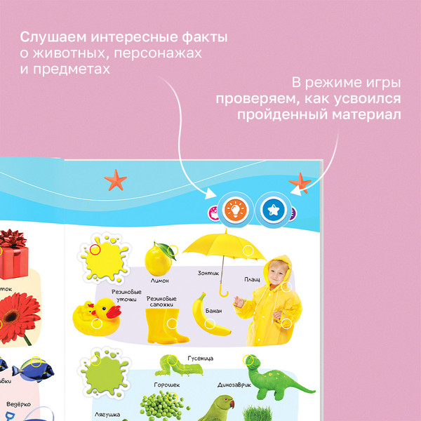 Изображение товара Музыкальная книга BertToys Большая нажималка. Первые знания / FD150