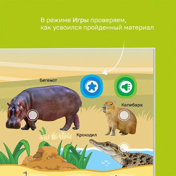 Изображение товара Музыкальная книга BertToys Маленькая нажималка. Все о животных / FD152, твердая обложка