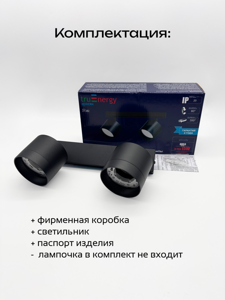 Изображение товара Спот Truenergy 21382