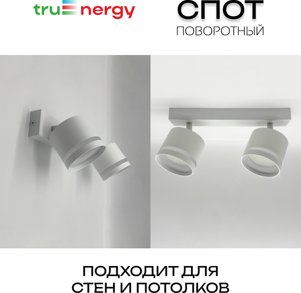 Изображение товара Спот Truenergy 21391