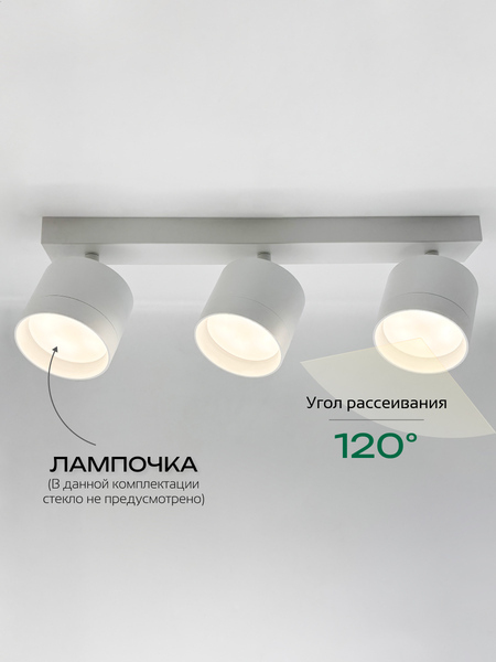 Изображение товара Спот Truenergy 21383