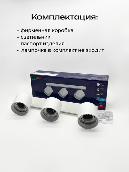 Изображение товара Спот Truenergy 21383