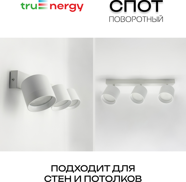 Изображение товара Спот Truenergy 21383