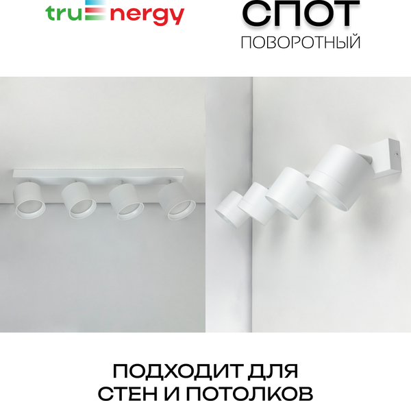 Изображение товара Спот Truenergy 21385