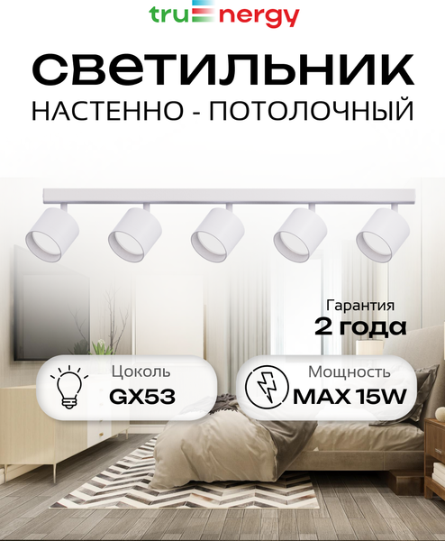 Изображение товара Спот Truenergy 21387