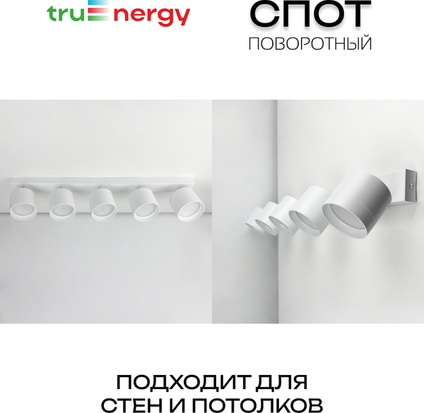 Изображение товара Спот Truenergy 21387