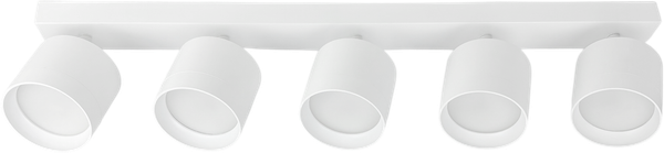 Изображение товара Спот Truenergy 21387