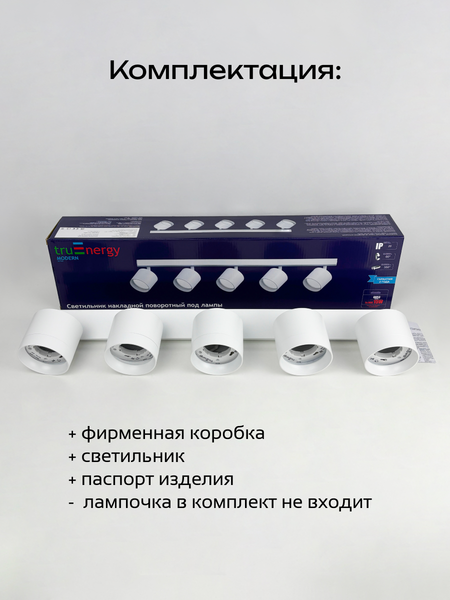 Изображение товара Спот Truenergy 21387