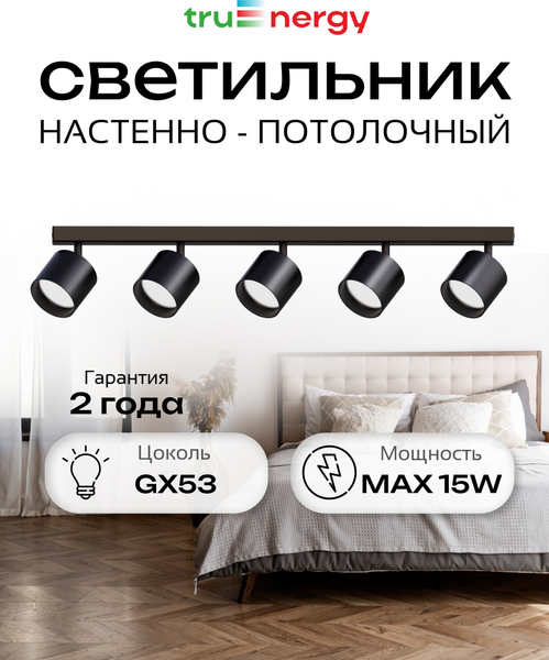 Изображение товара Спот Truenergy 21388