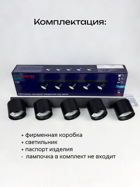 Изображение товара Спот Truenergy 21388