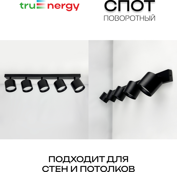 Изображение товара Спот Truenergy 21388